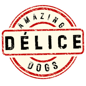 amazing dogs